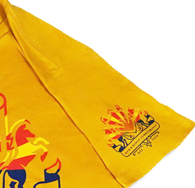 Arizona Flag